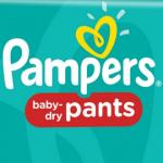 Pampers Baby Dry Pants